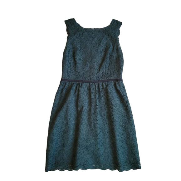 LOFT Dresses & Skirts - Loft Lace Fit and Flare Dress